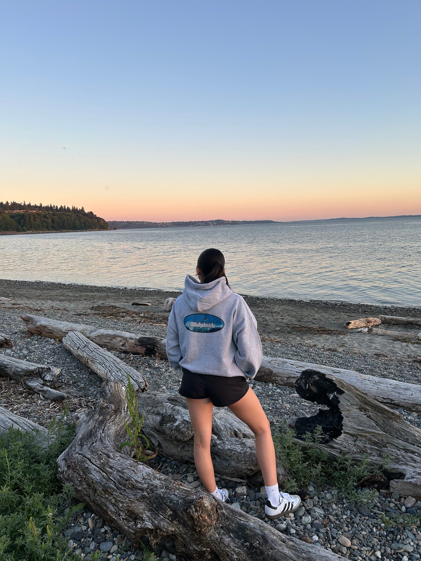 Grey Quad-Hit Surf Hoodie